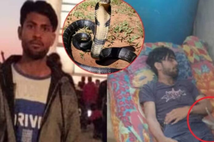 new-meerut-shocker:-man-who-died-of-10-snakebites-was-murdered-by-wife-and-her-lover