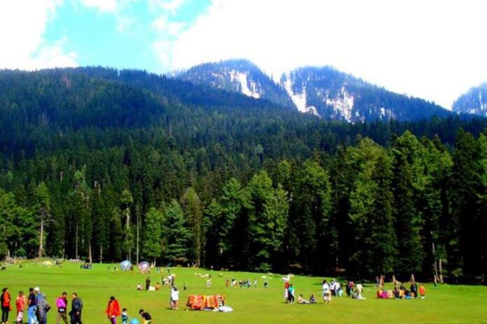 did-more-than-5-terrorists-attack-pahalgam?-officials-cross-check-witness-accounts
