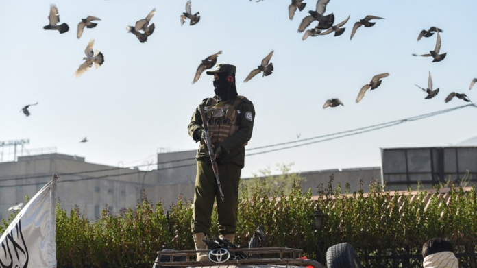 india-takes-taliban-on-its-side,-pushes-pak-into-corner-after-pahalgam