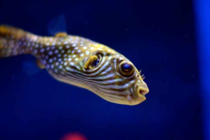 astronauts-may-soon-be-able-to-fish-on-the-moon