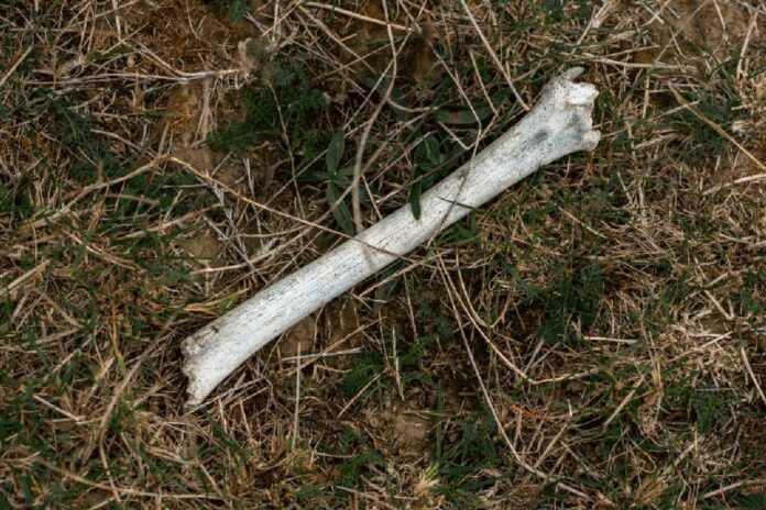 human-remains-near-taylor-swift’s-rhode-island-home-fuels-fears-of-serial-killer-on-the-loose