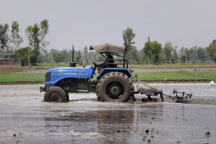 early-monsoon-on-horizon-raises-farmers’-hopes-for-timely-sowing,-heat-relief