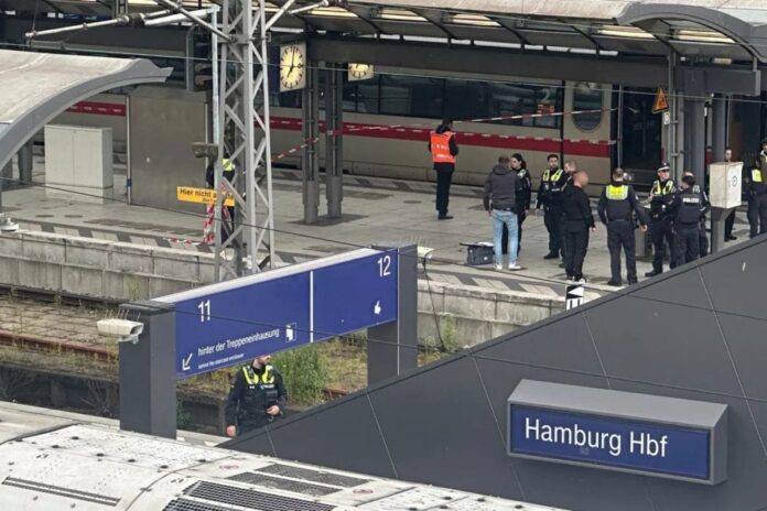 12-injured-in-knife-attack-at-hamburg-train-station-in-germany,-suspect-arrested