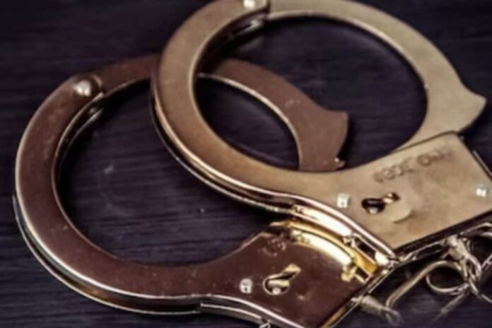 maharashtra-shocker:-son-kills-mother-over-refusal-to-cook-food