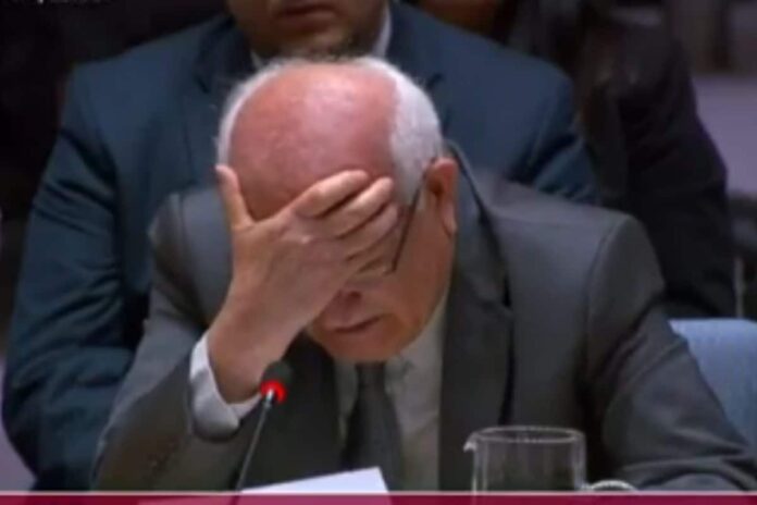 ‘i-have-grandchildren-too’:-palestinian-envoy-breaks-down-in-tears-at-un-over-gaza-|-video