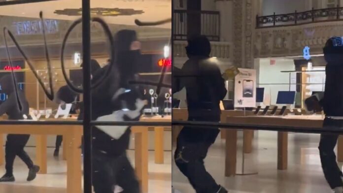 watch:-masked-looters-hit-apple-store,-vandalise-shops-as-la-protest-turns-chaotic