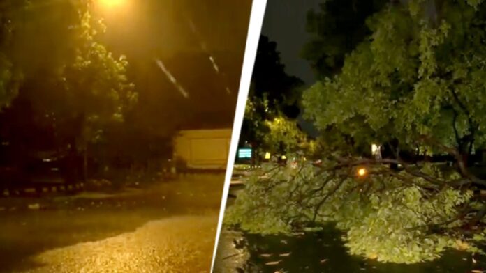 heavy-rain,-strong-winds-lash-delhi-ncr,-trees-uprooted