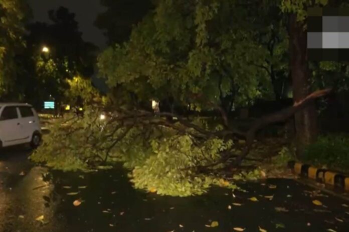 heavy-rain,-strong-winds-lash-delhi-ncr,-storm-uproot-trees;-imd-issues-alert