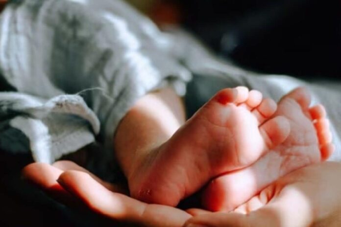 palghar-woman-loses-unborn-child-after-ambulance-delay,-husband-carries foetus in bag