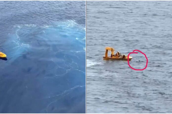 a-leap-of-love:-hero-dad-jumps-into-ocean-to-save-daughter-after-she-falls-from-ship-|-video
