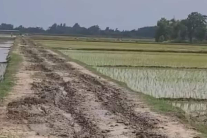 dead-men-building-roads?-shocking-mnrega-scam-uncovered-in-up-village