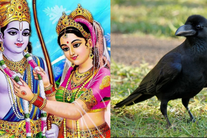 after-‘dog-babu’,-‘lord-ram’,-‘goddess-sita’-and-‘crow’-seek-bihar-residential-certificate