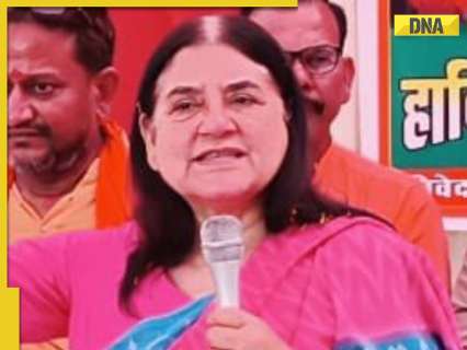 maneka-gandhi-slams-sc-order-on-stray-dogs,-calls-it-‘impractical,-financially-unviable’