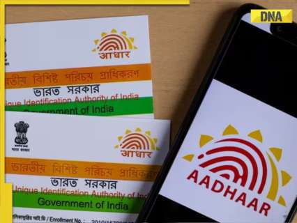 bombay-hc’s-big-remark-on-citizenship:-‘aadhaar,-pan-card-or-voter-id-doesn’t-make…’