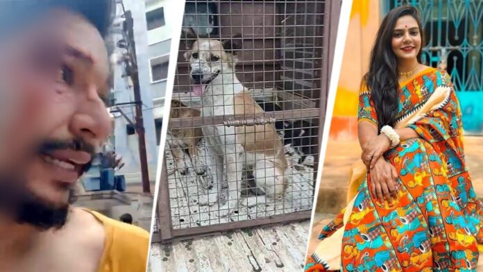 stray-dog-rumours-fuel-hyderabad-mob-attack,-cops-allegedly-refuse-complaint