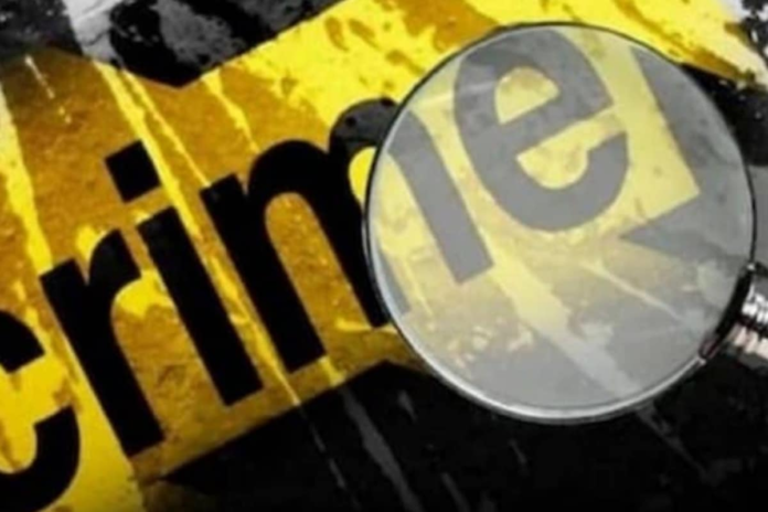 ‘nag’-mother-in-law-bludgeoned-to-death-by-two-‘bahus’:-‘she-blamed-us,-complained-sons-about…’