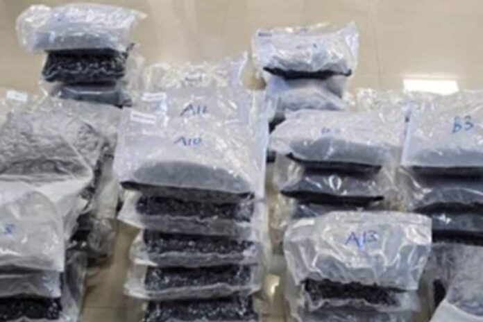 dri-cracks-drug-syndicate-using-rajdhani-express-to-smuggle-hydroponic-weed-worth-rs-72-crore