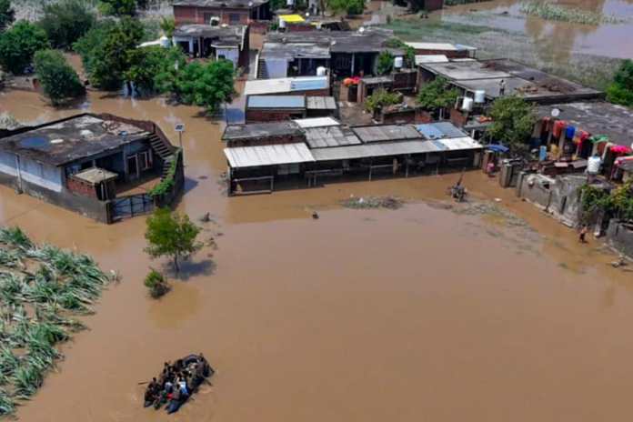 ravi,-beas,-sutlej-swell-again:-how-punjab-floods-have-revived-painful-memories-of-1988