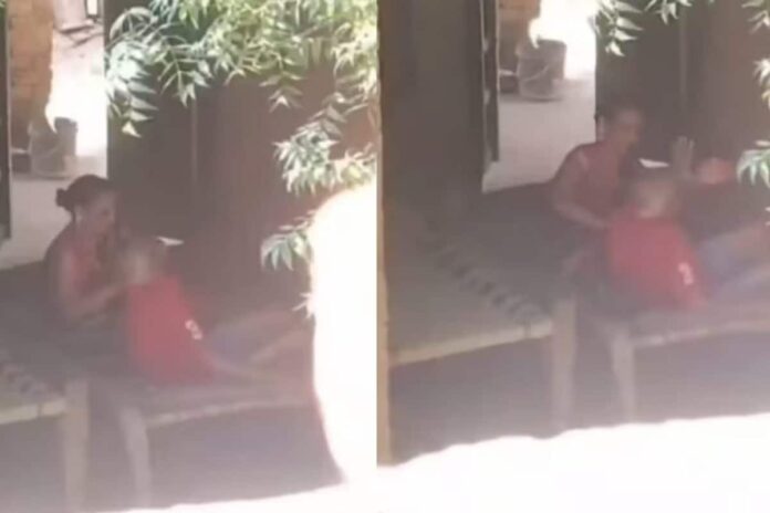 up-woman-thrashes-husband’s-87-year-old-uncle-in-pratapgarh,-police-records-statement