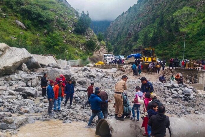 ‘illegal-tree-felling-taking-place’:-supreme-court-sends-notice-to-flood-hit-northern-states