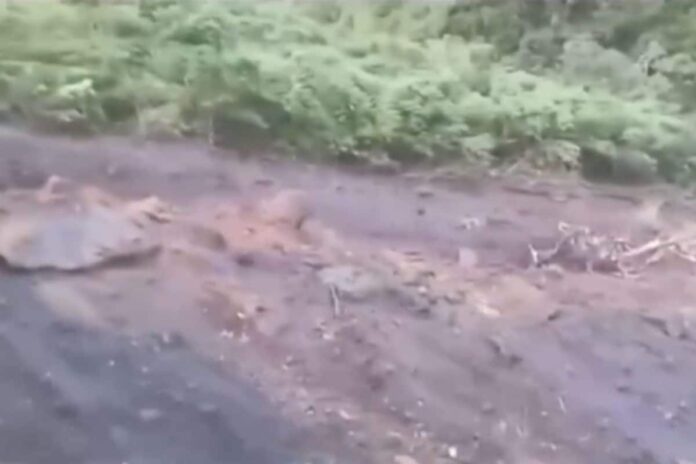 heavy-rain-triggers-massive-landslide-in-himachal’s-kinnaur;-video-goes-viral