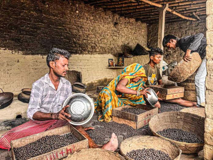 bihar’s-makhana:-from-pond-to-plate,-the-journey-of-india’s-global-superfood