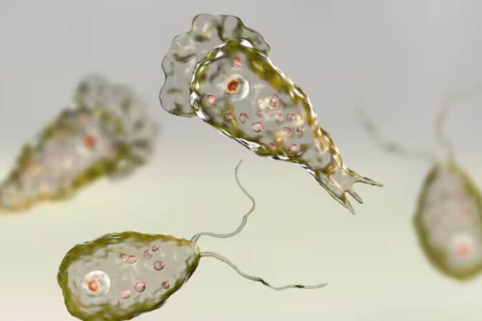 kerala-reports-67-cases-of-deadly-brain-eating-amoeba,-18-deaths-so-far