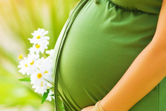 planning-a-baby?-here-are-the-top-5-countries-in-the-world-with-the-longest-maternity-leave